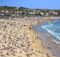 Tasmanian Bay Lights Up With Blue Algae