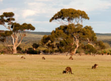 Australia ETA